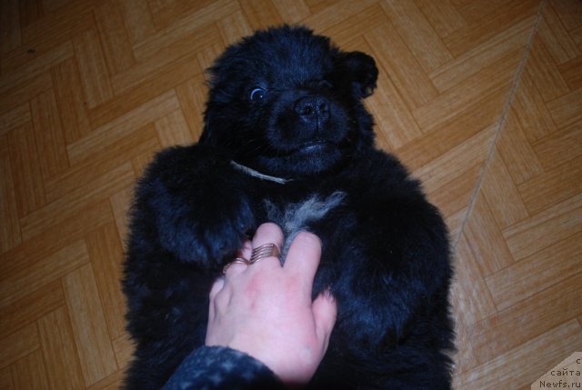 Фото: Natal'ya Smirnova (Наталья Смирнова)