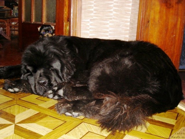 Фотография № 82332