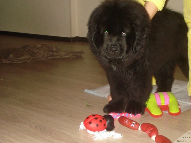 Фото: Elena Gorbunova (Елена Горбунова)