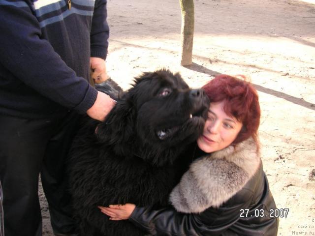 Фотография № 8235