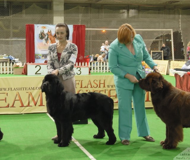 Фотография № 82373