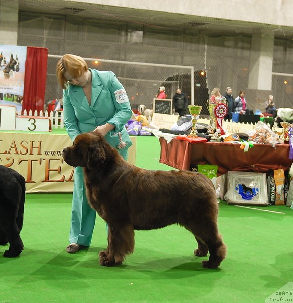 Фотография № 82374