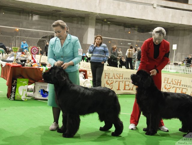 Фотография № 82375