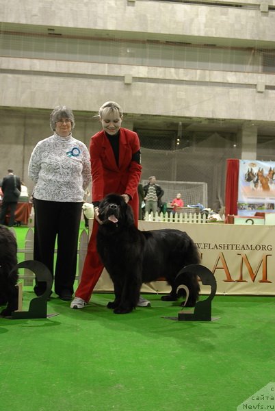 Фотография № 82382