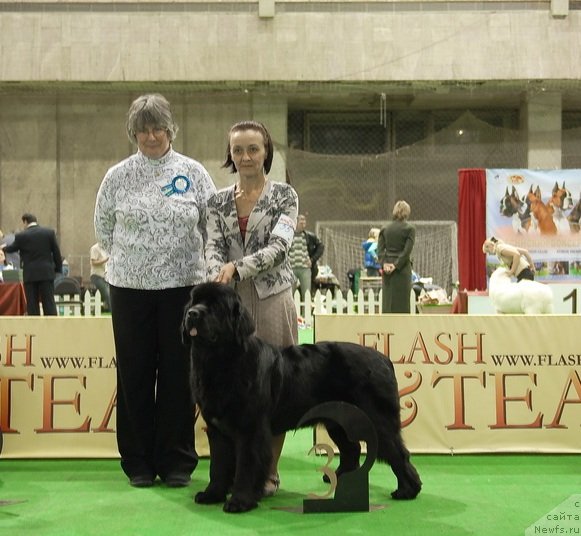 Фотография № 82385