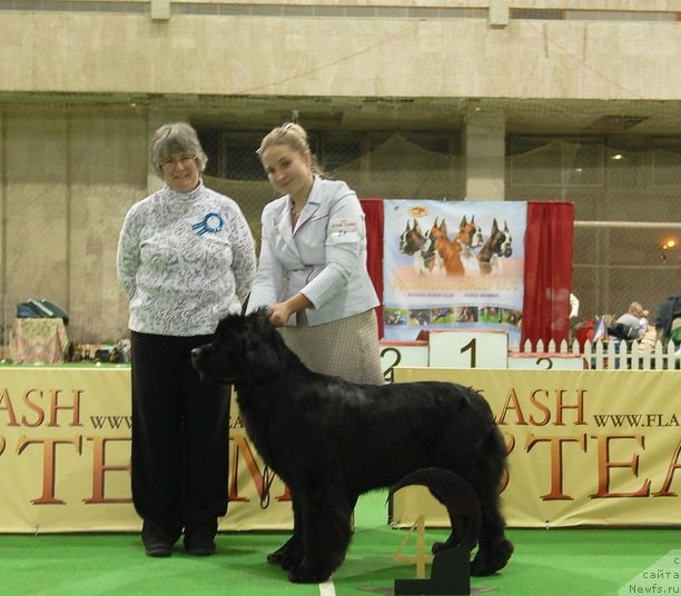 Фотография № 82386