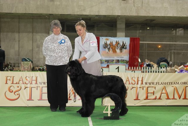 Фотография № 82387