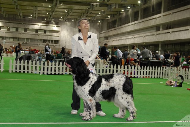 Фотография № 82388