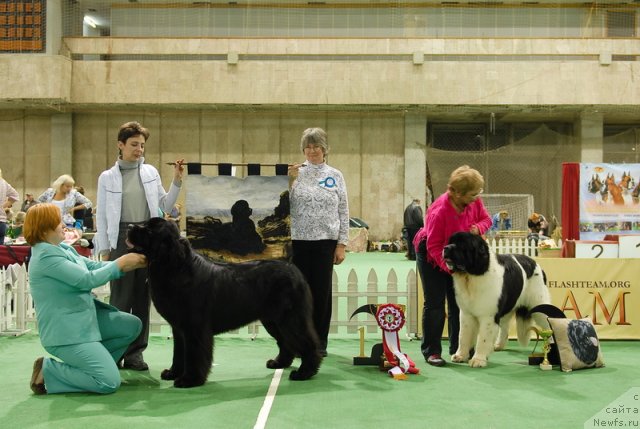 Фотография № 82393