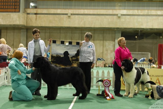 Фотография № 82394