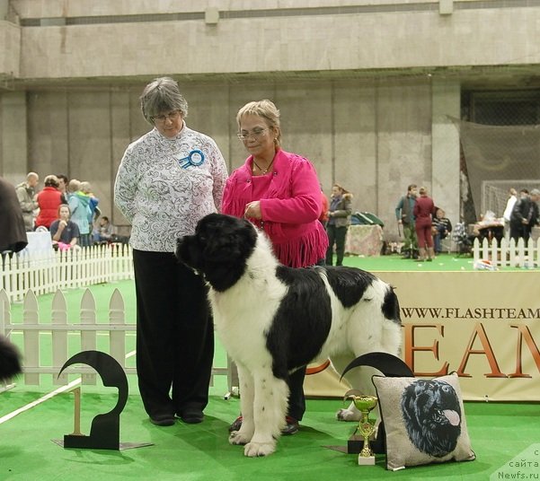 Фотография № 82395