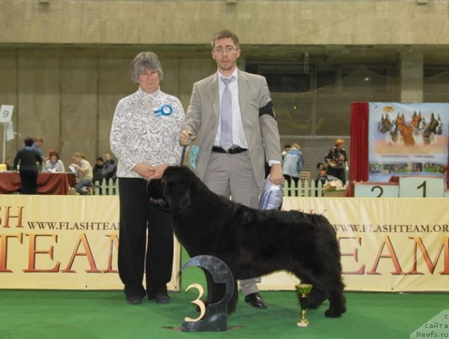 Фотография № 82397