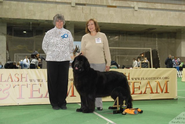 Фотография № 82399