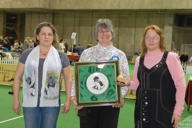 Фотография № 82404