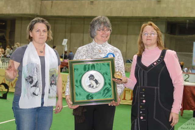 Фотография № 82405