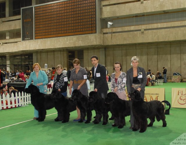 Фотография № 82408