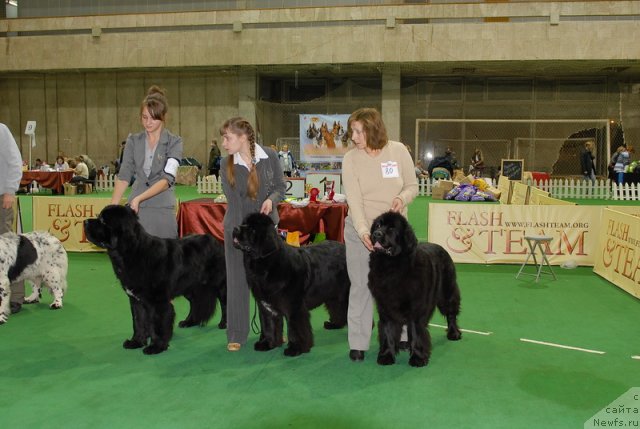 Фотография № 82410