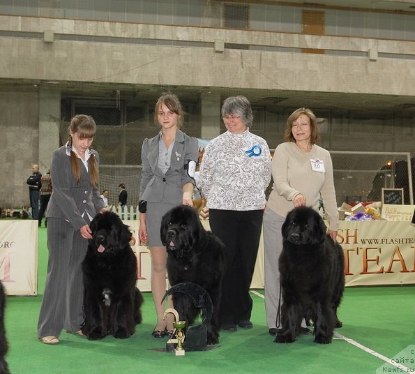 Фотография № 82411