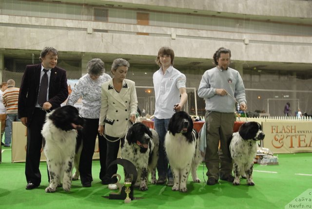 Фотография № 82412