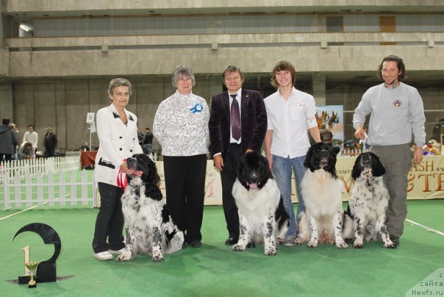 Фотография № 82415