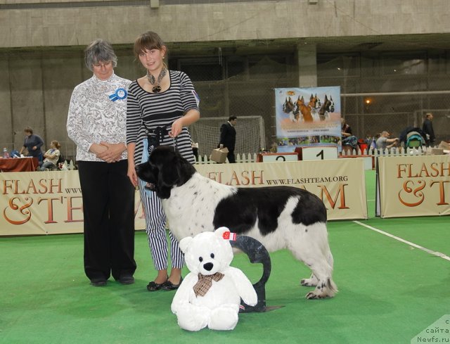 Фотография № 82417