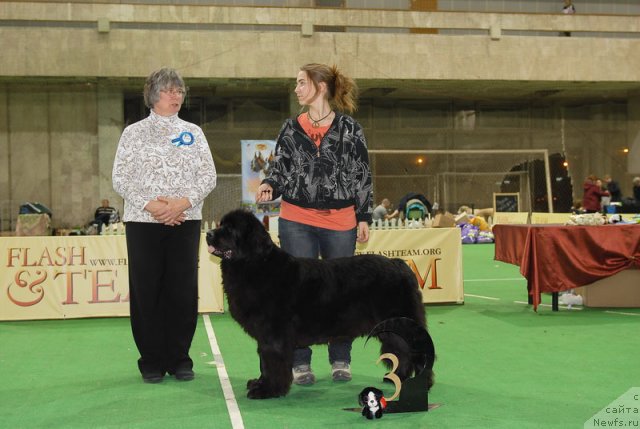 Фотография № 82419