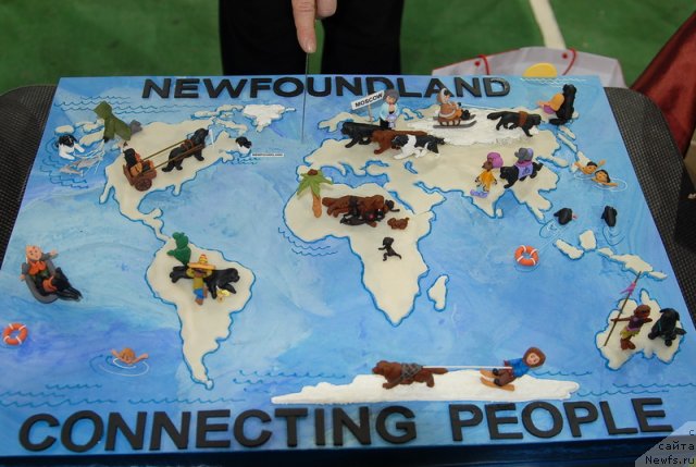 Фотография № 82423