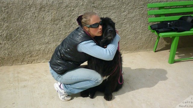 Фотография № 82436