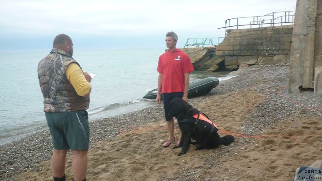 Фотография № 82439