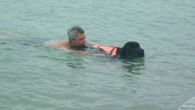 Фотография № 82456