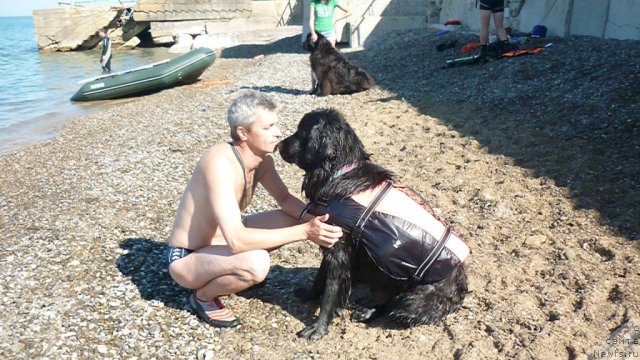 Фотография № 82465