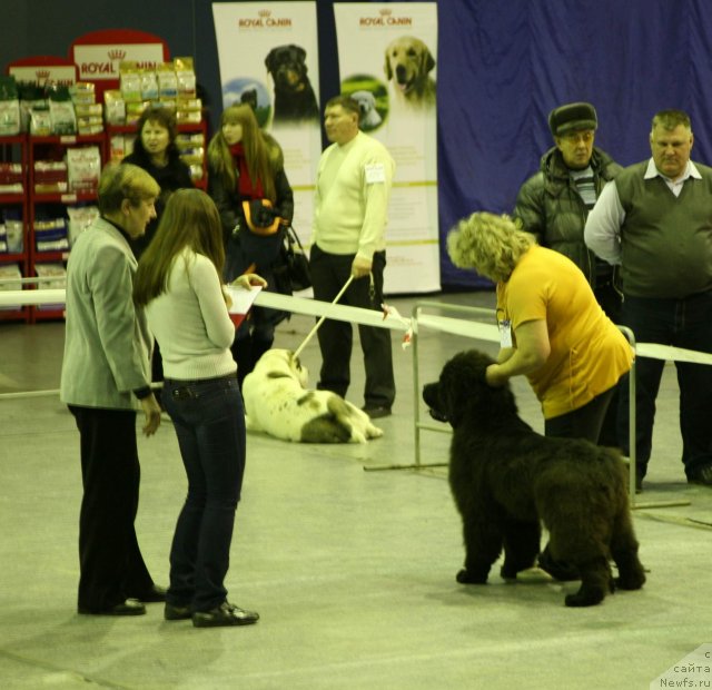 Фотография № 82507