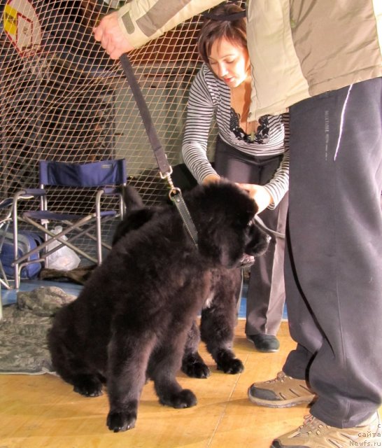 Фото: Детки [d8392]