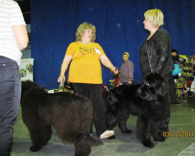 Фото: Irina Panyushkina (Ирина Панюшкина), Svetlana Stupnikova (Светлана Ступникова)