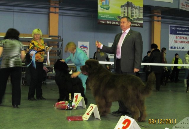 Фотография № 82561