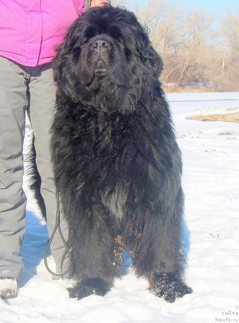 Фотография № 82633