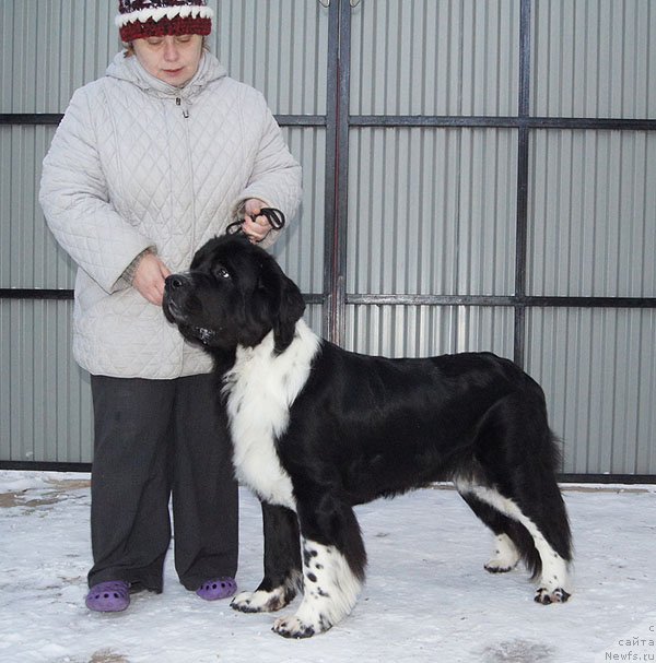 Фотография № 82638