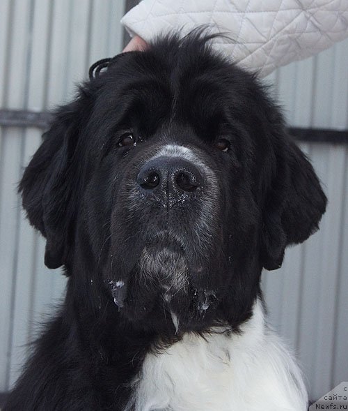 Фотография № 82643