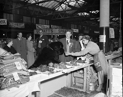 Фотография № 82771