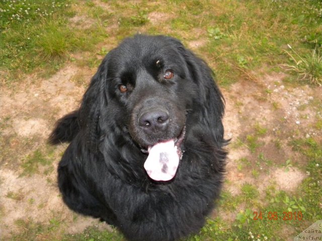 Фото: Irina Ignat'eva (Ирина Игнатьева)