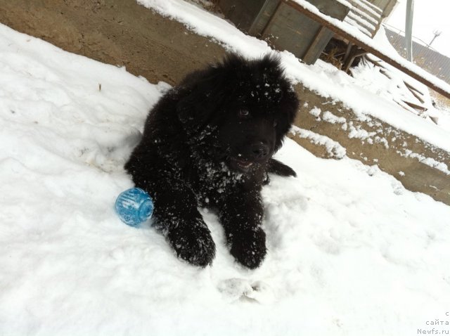Фото: Elena Gorbunova (Елена Горбунова)