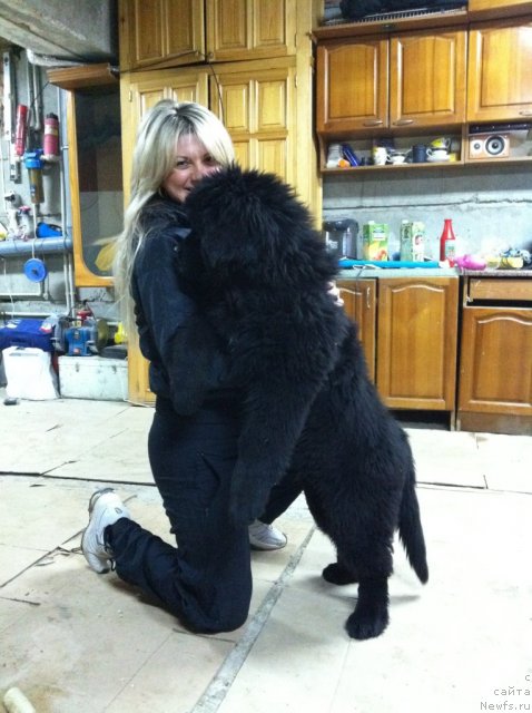 Фото: Elena Gorbunova (Елена Горбунова)