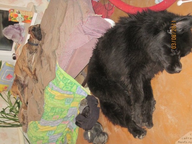 Фото: Lena Zyirina (Лена Зырина)