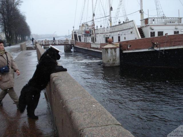 Фотография № 8295