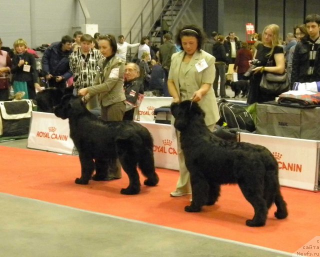 Фотография № 83067