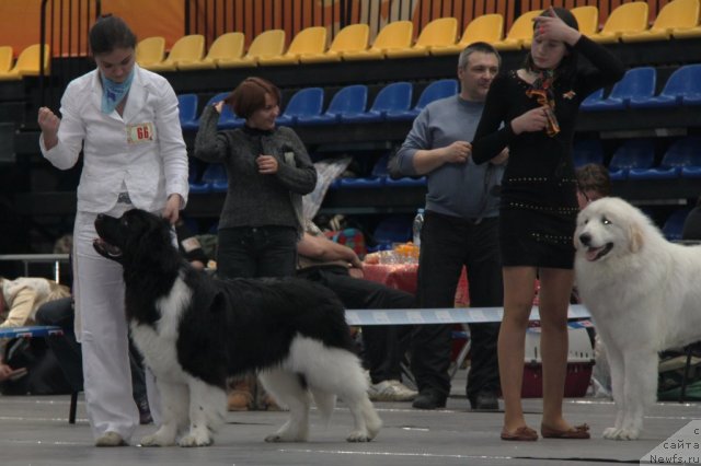 Фотография № 83118