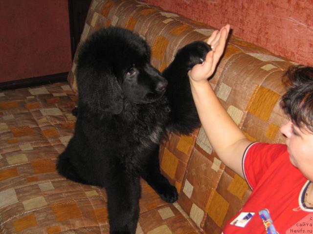 Фото: Oksana Popova (Оксана Попова)