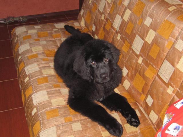 Фото: Oksana Popova (Оксана Попова)