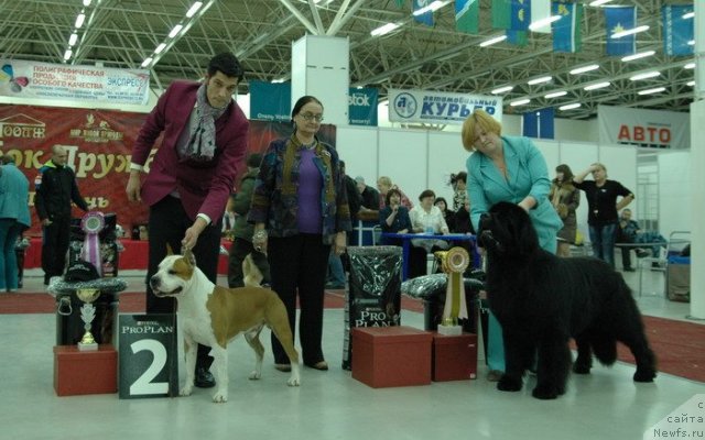 Фотография № 83161