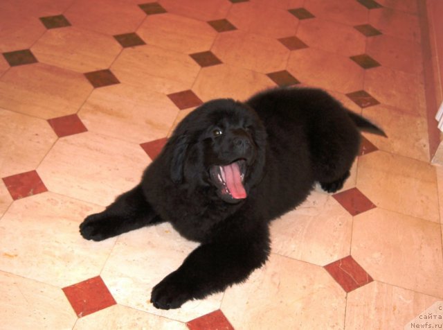 Фотография № 83189